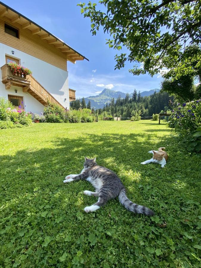 Landhaus Barbara キッツビュール エクステリア 写真